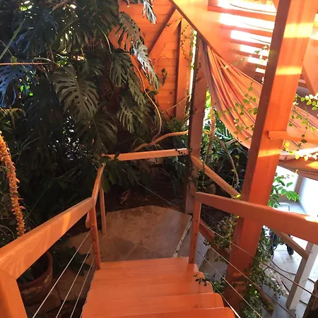 Aussergewoehnliches Im Schwarzwald Dornstetten