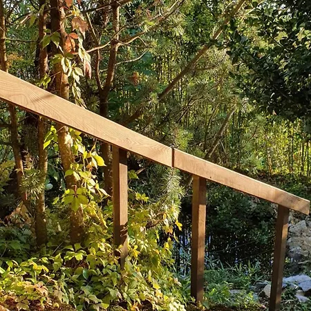 Aussergewoehnliches Im Schwarzwald *