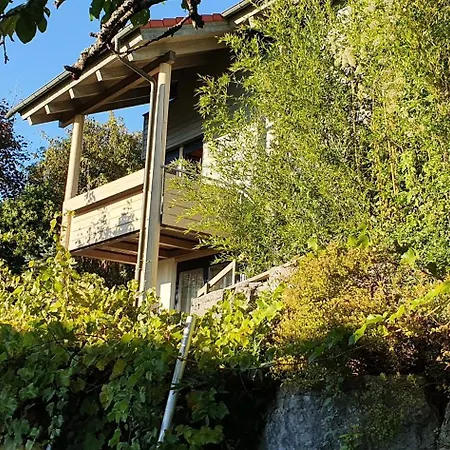 Aussergewoehnliches Im Schwarzwald *